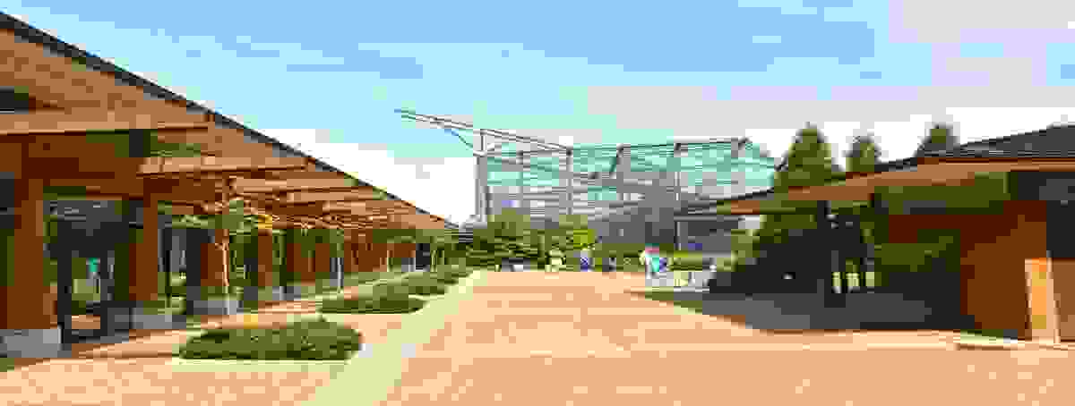IMAGE OF AMES