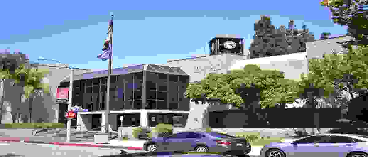 IMAGE OF BELLFLOWER