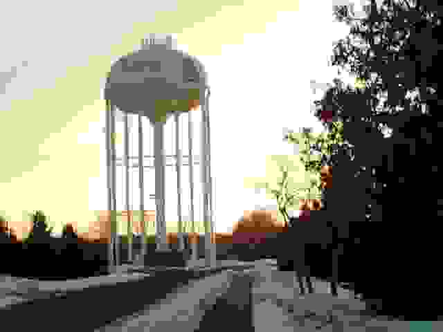 IMAGE OF BLAINE