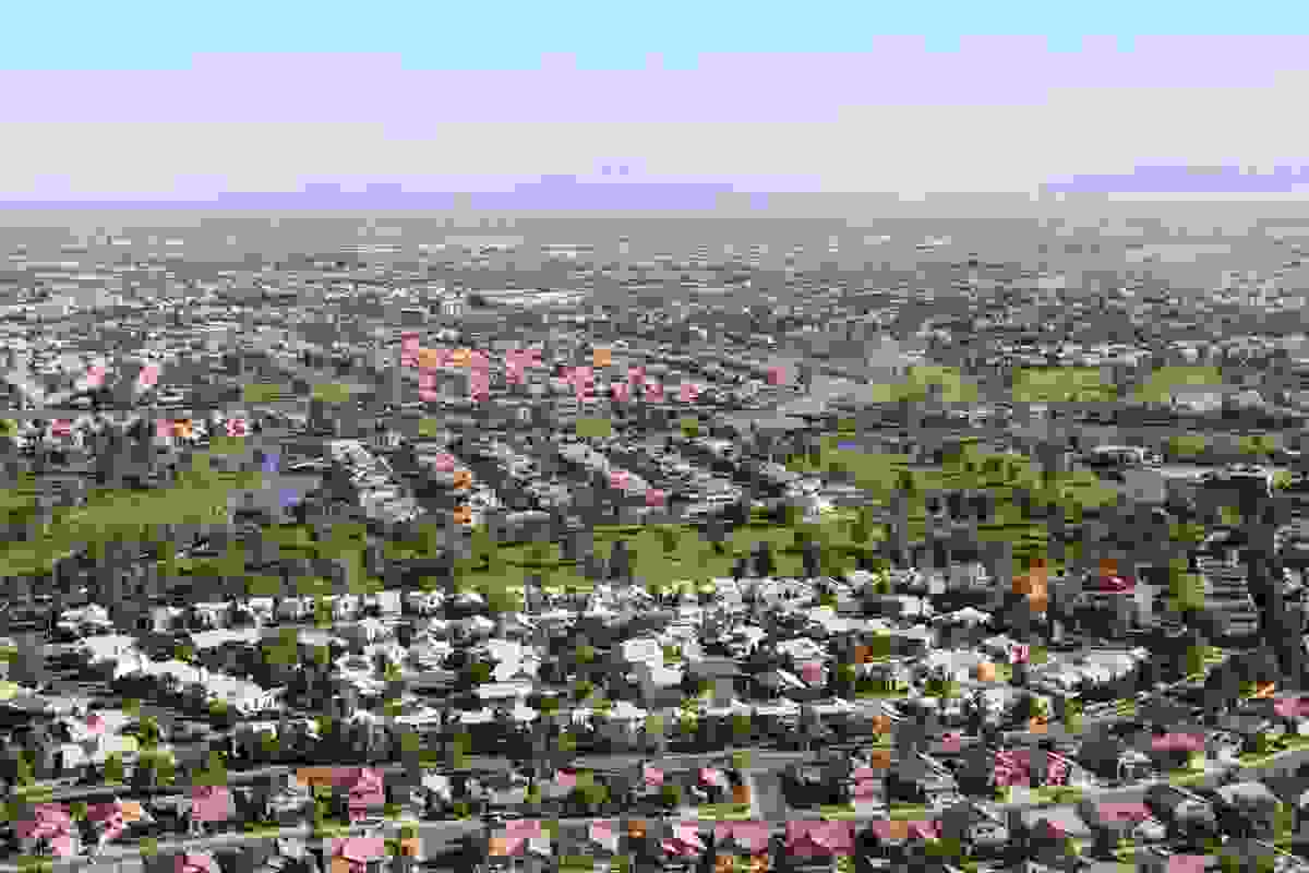 IMAGE OF CHANDLER