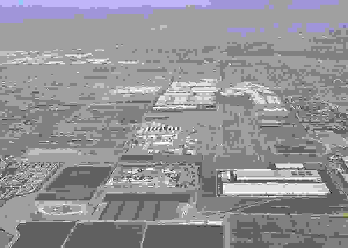 IMAGE OF CHINO