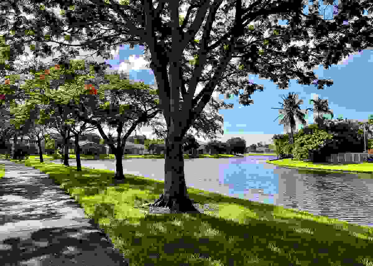 IMAGE OF COCONUT CREEK