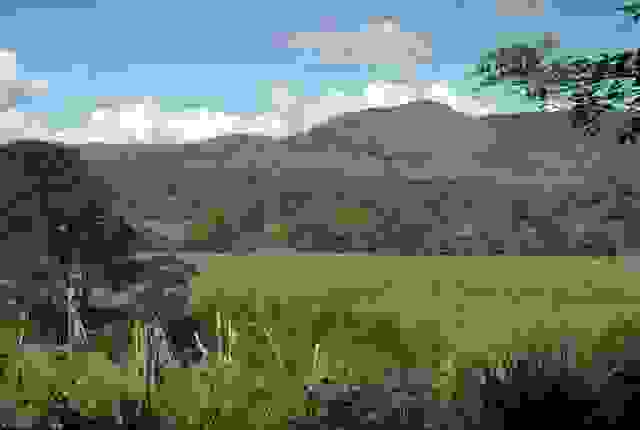 IMAGE OF CUILAPA