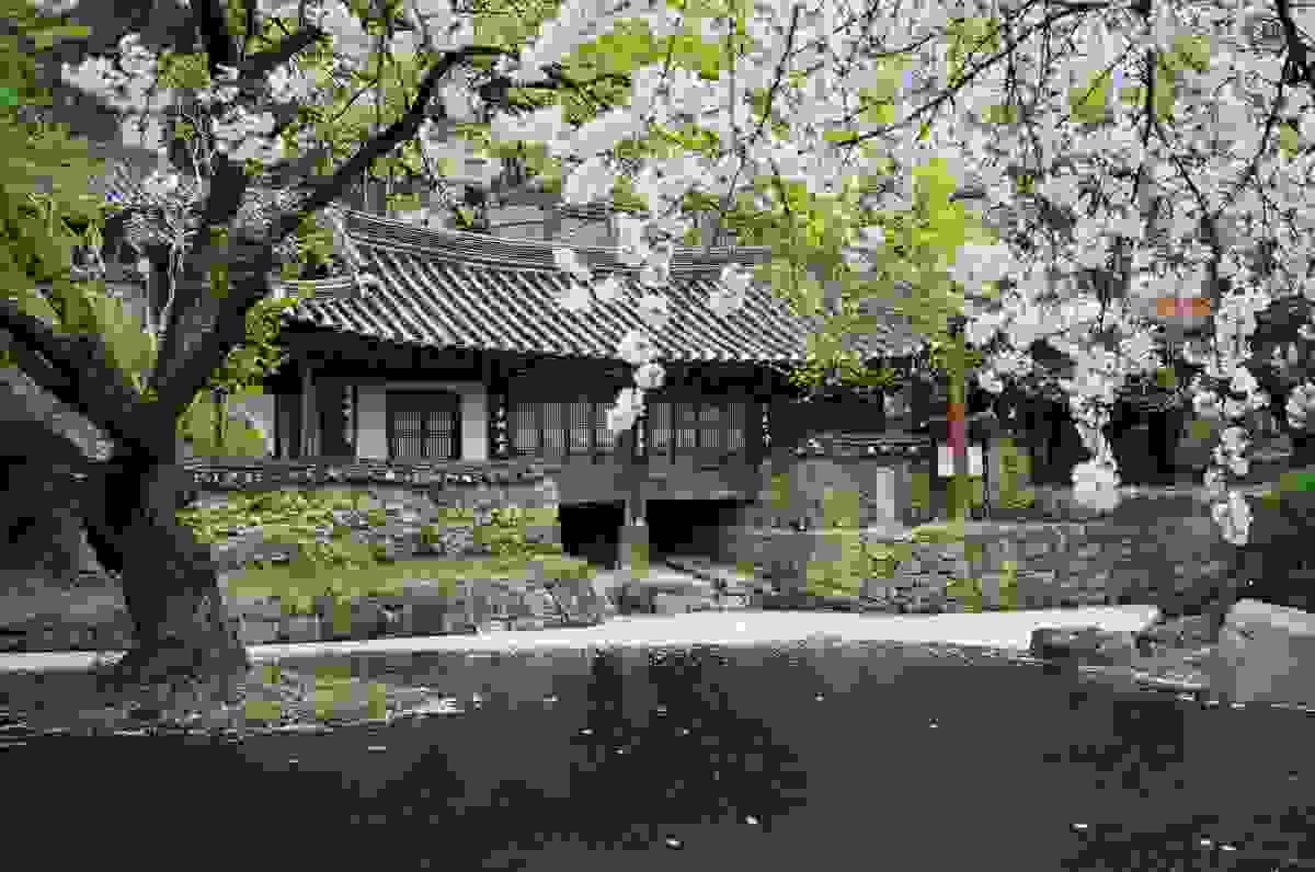 IMAGE OF DAEJEON