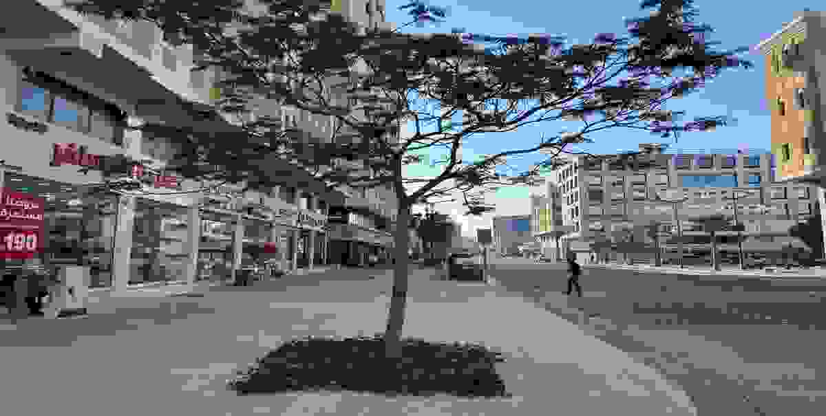 IMAGE OF DAMMAM