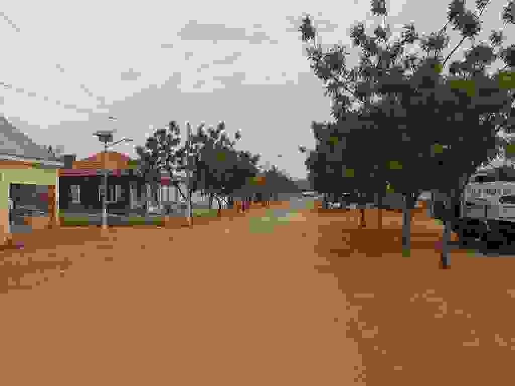 IMAGE OF DANDE