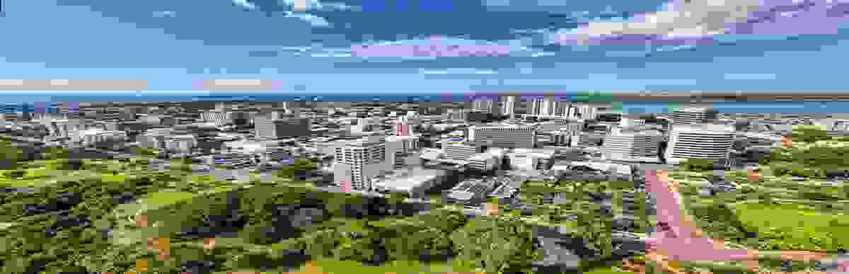 IMAGE OF DARWIN