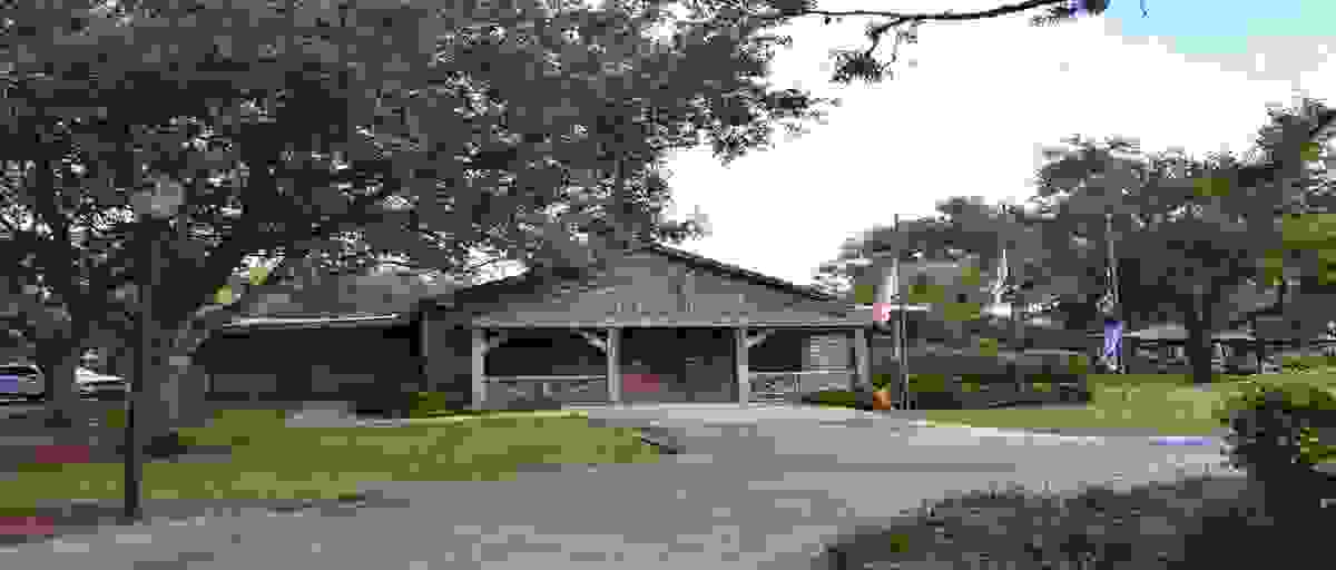 IMAGE OF DAVIE