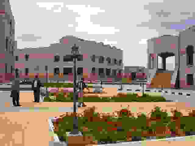 IMAGE OF DHAMAR