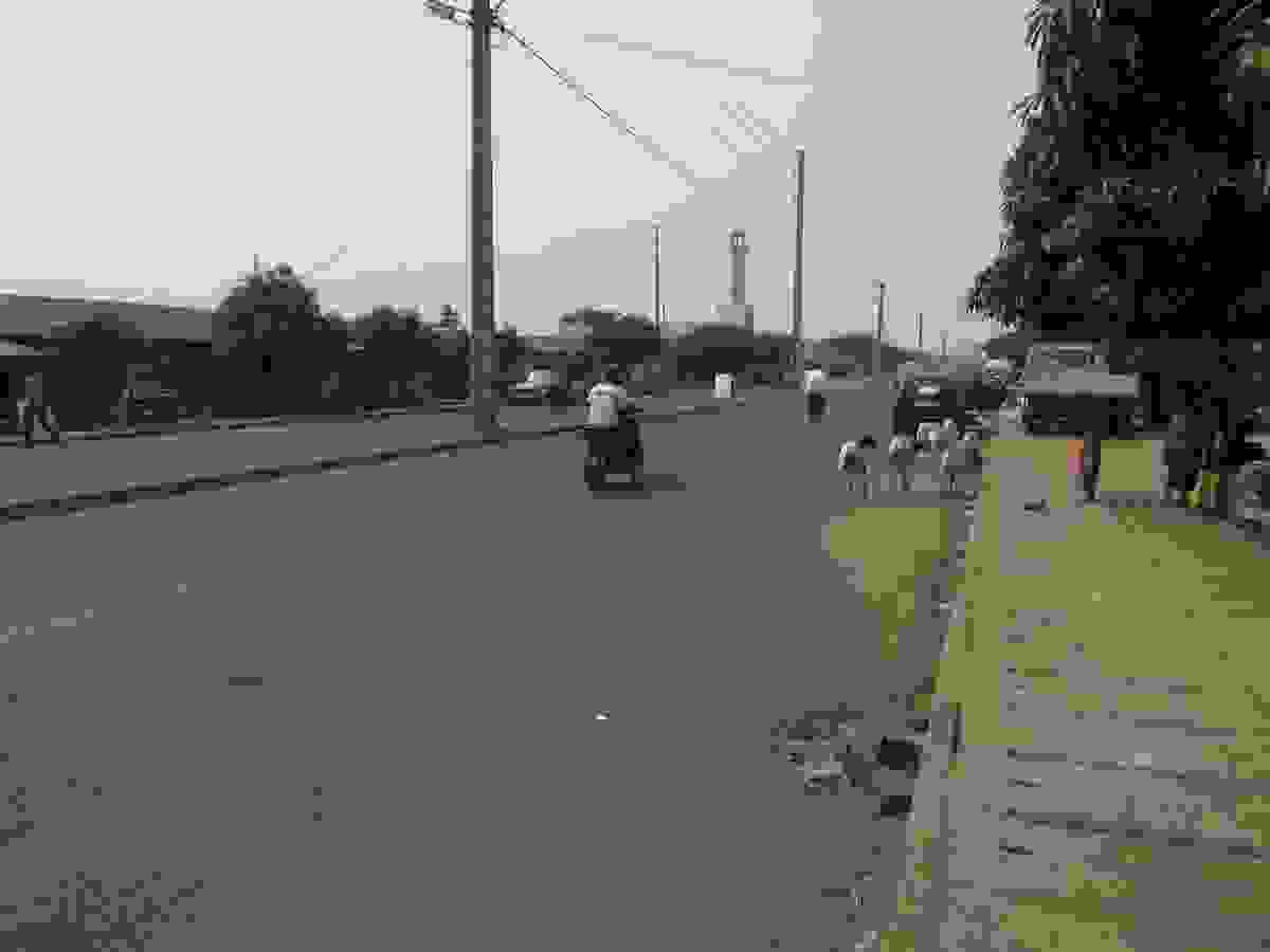 IMAGE OF DJOUGOU