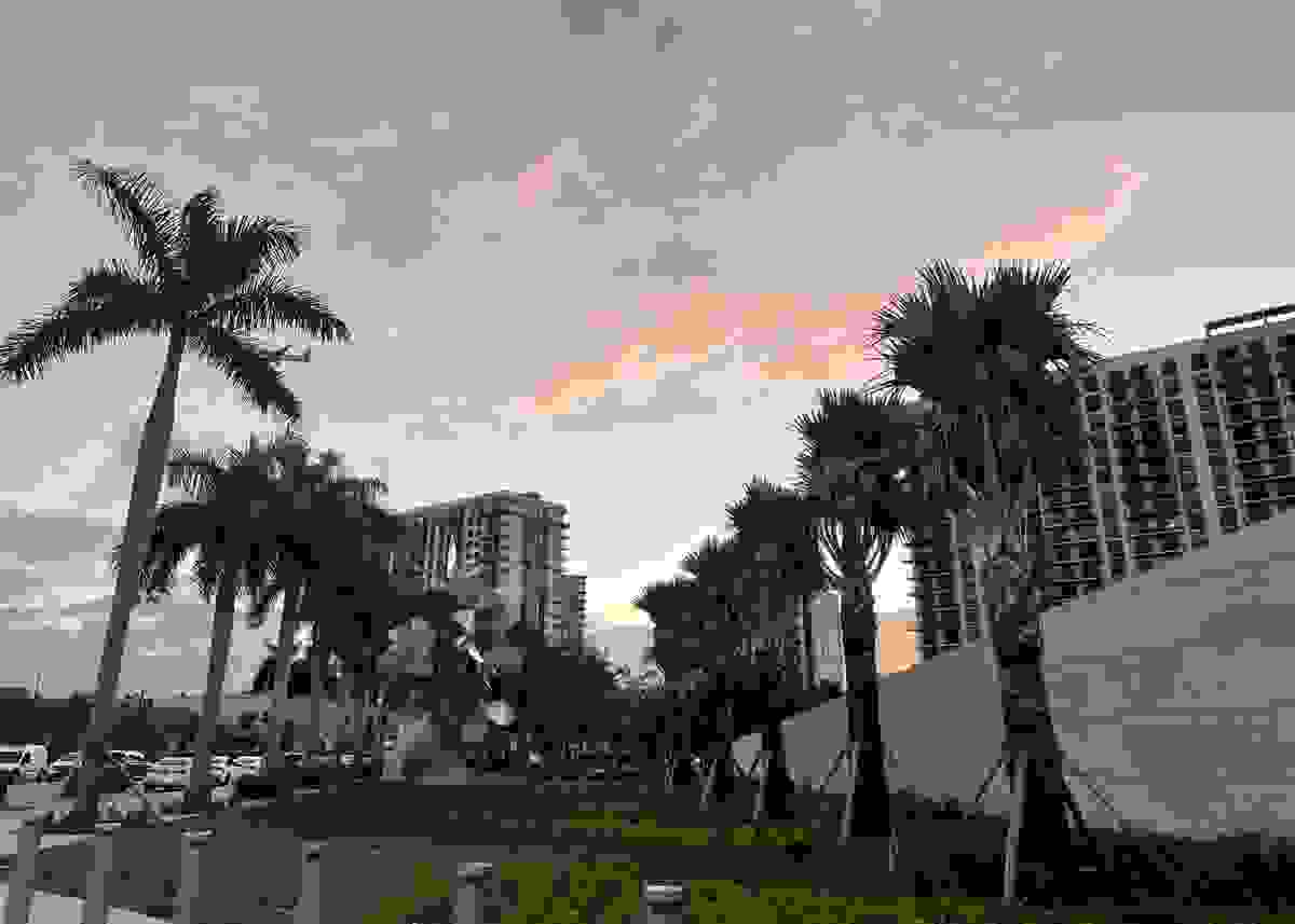 IMAGE OF DORAL