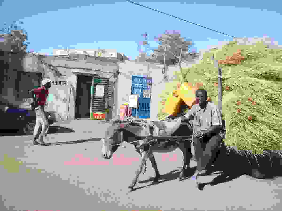 IMAGE OF DORI
