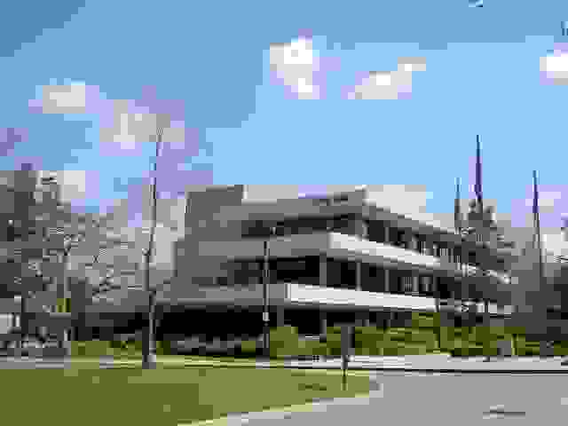 IMAGE OF DOWNEY