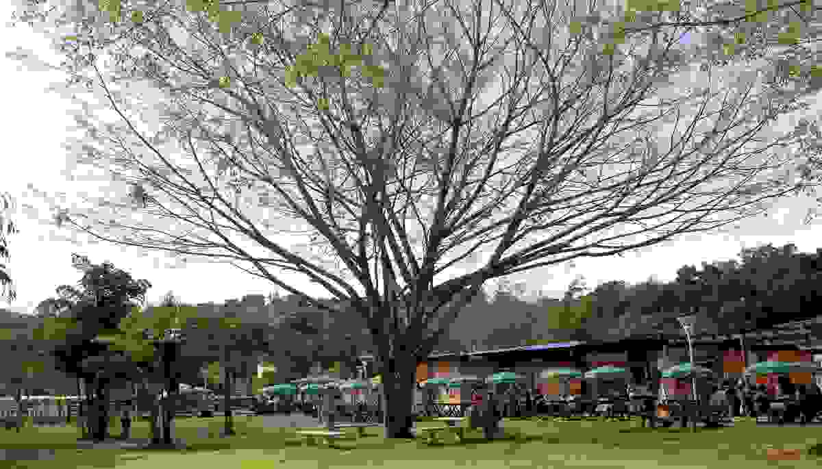 IMAGE OF EMBU DAS ARTES