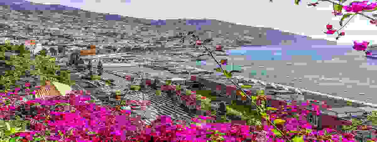 IMAGE OF FUNCHAL