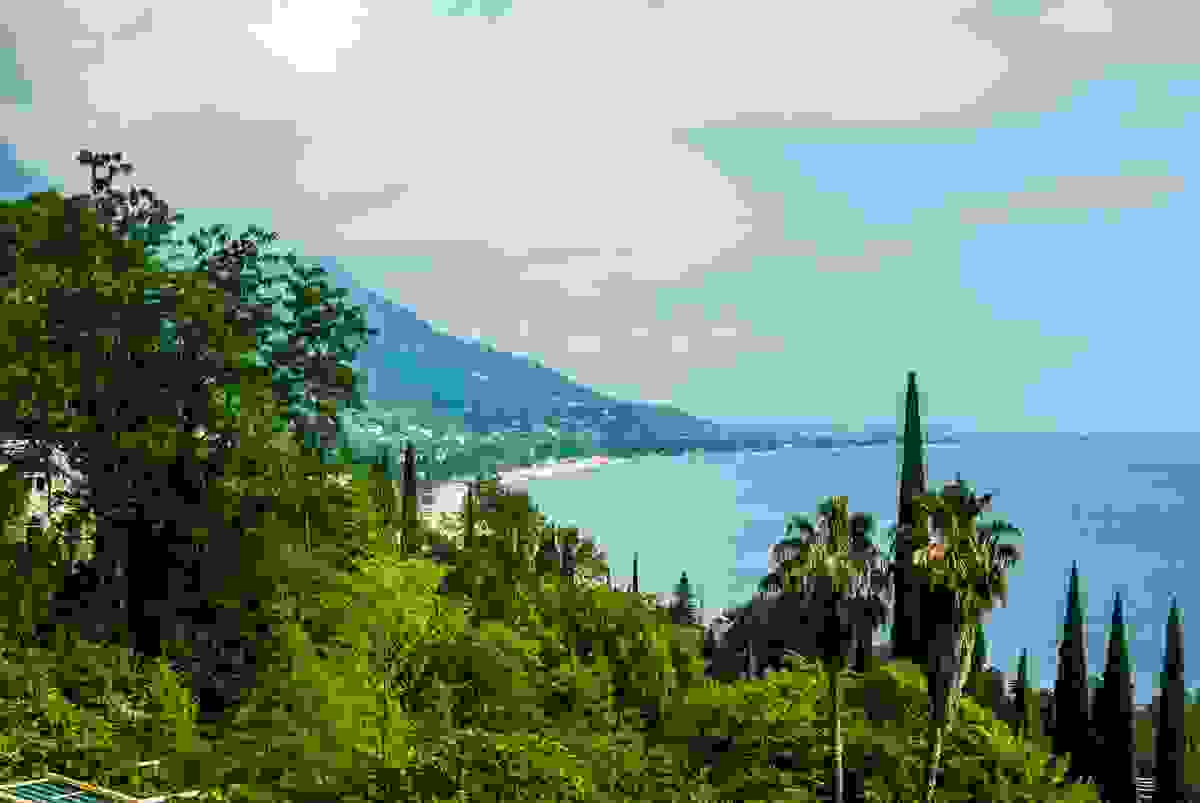 IMAGE OF GAGRA