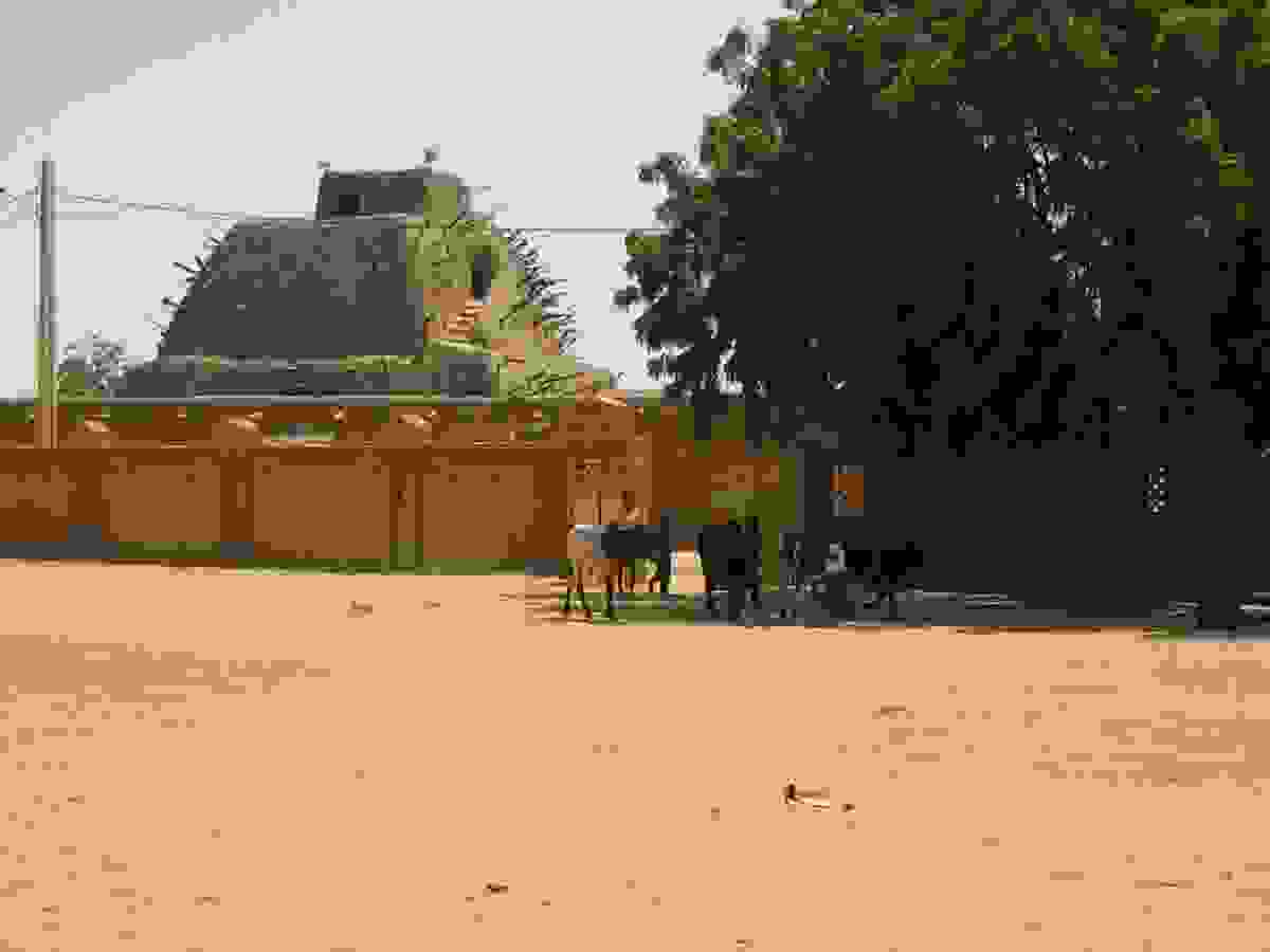 IMAGE OF GAO