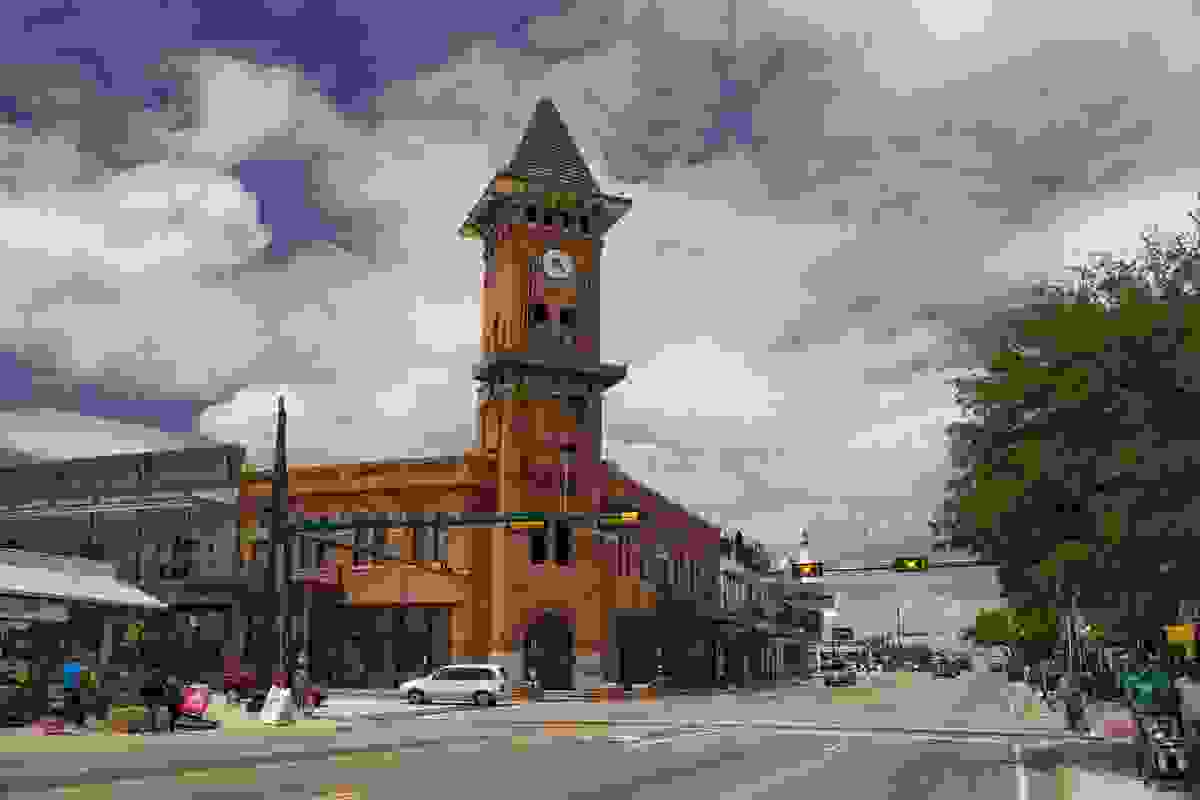 IMAGE OF GRAPEVINE