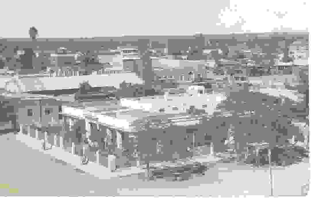 IMAGE OF GUAMÚCHIL