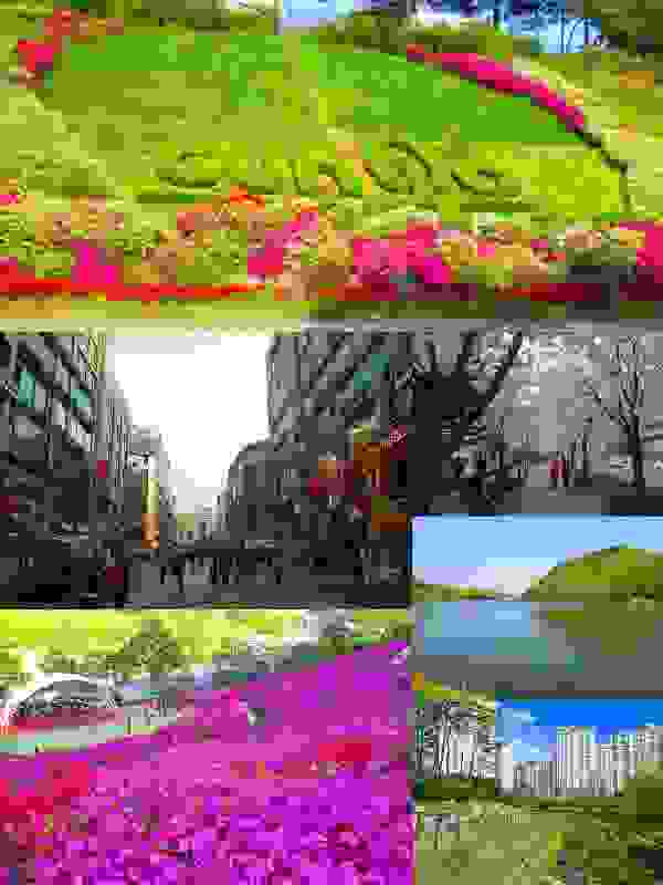 IMAGE OF GUNPO