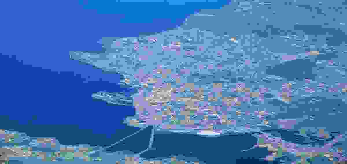IMAGE OF HAMAR