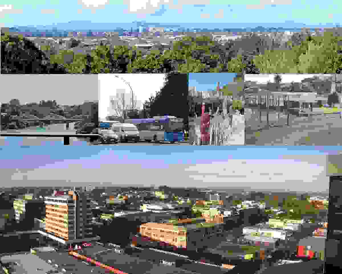 IMAGE OF HAMILTON