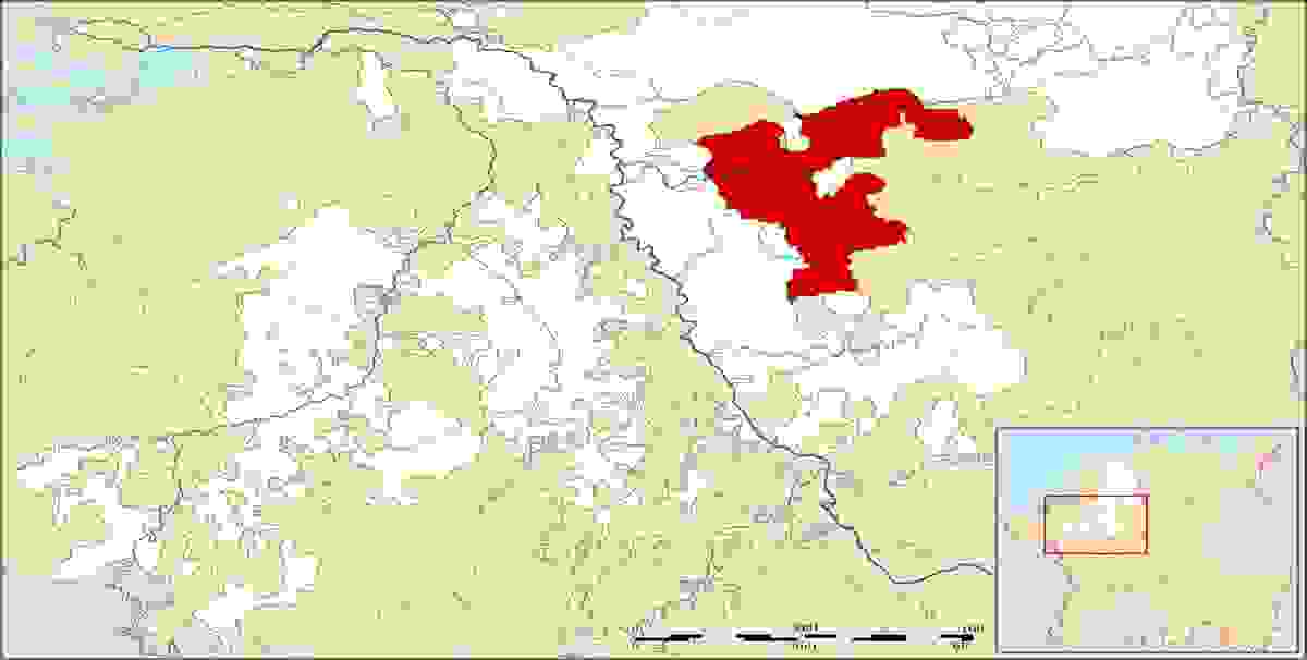 IMAGE OF HAMM