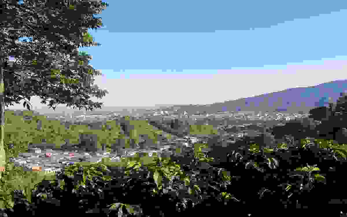 IMAGE OF IBAGUÉ