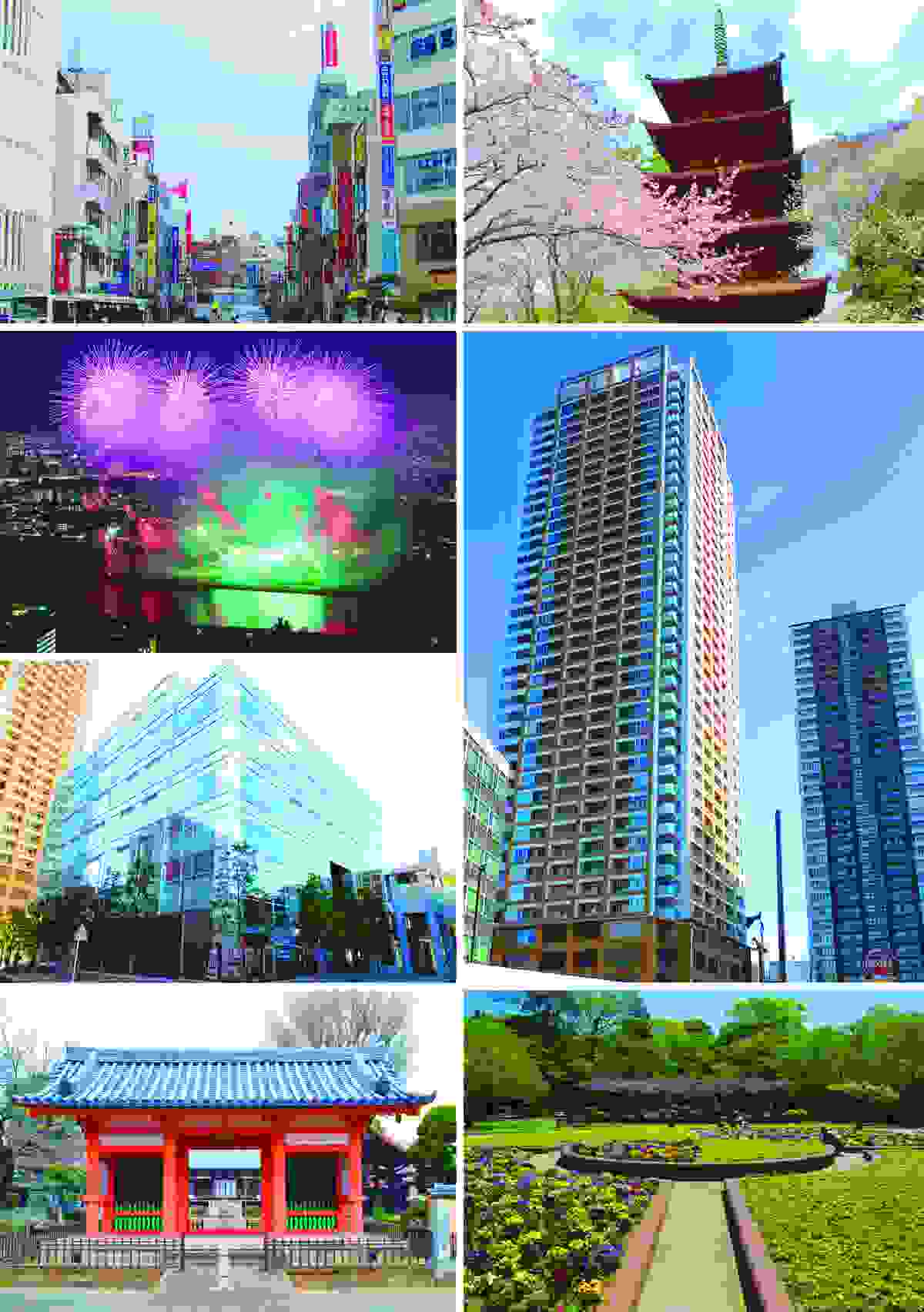 IMAGE OF ICHIKAWA