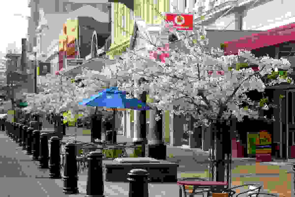 IMAGE OF INVERCARGILL