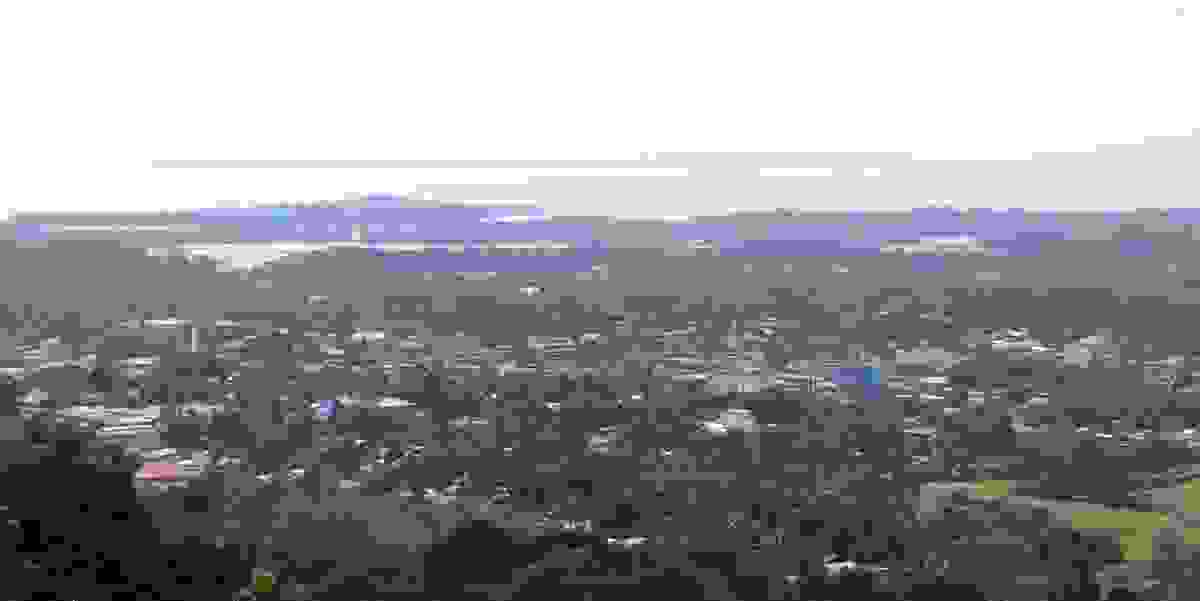 IMAGE OF IPIL