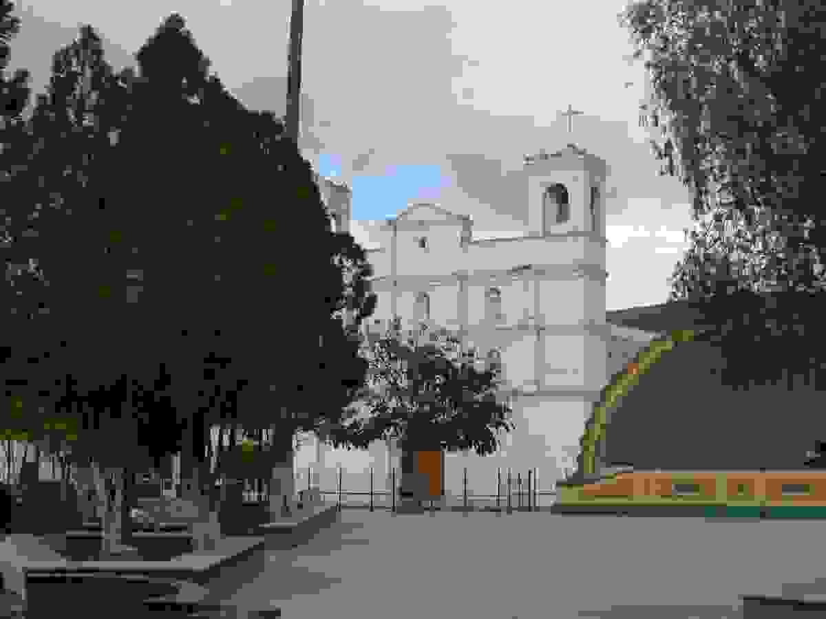 IMAGE OF JALAPA