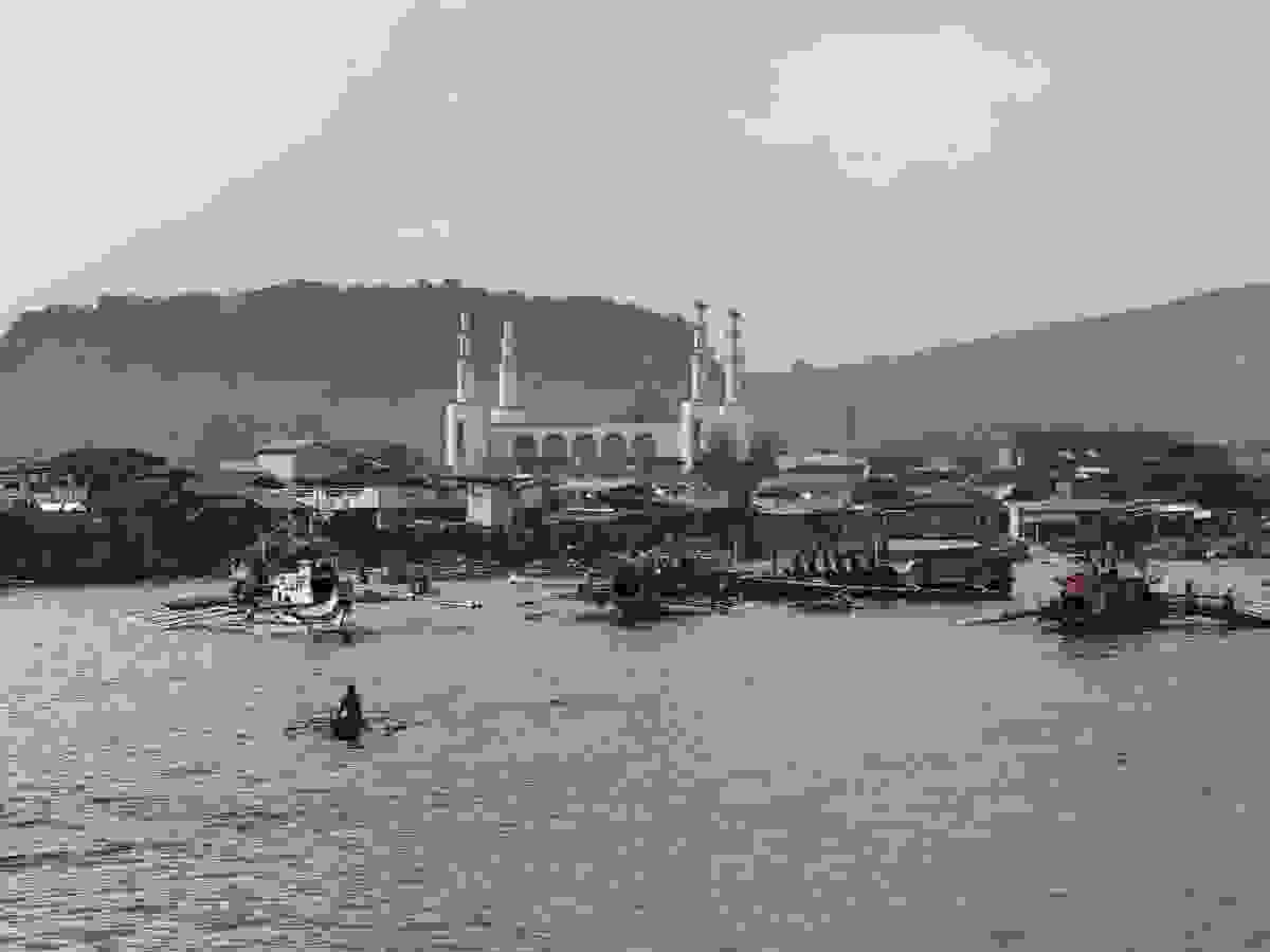 IMAGE OF JOLO