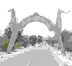 IMAGE OF KEBILI
