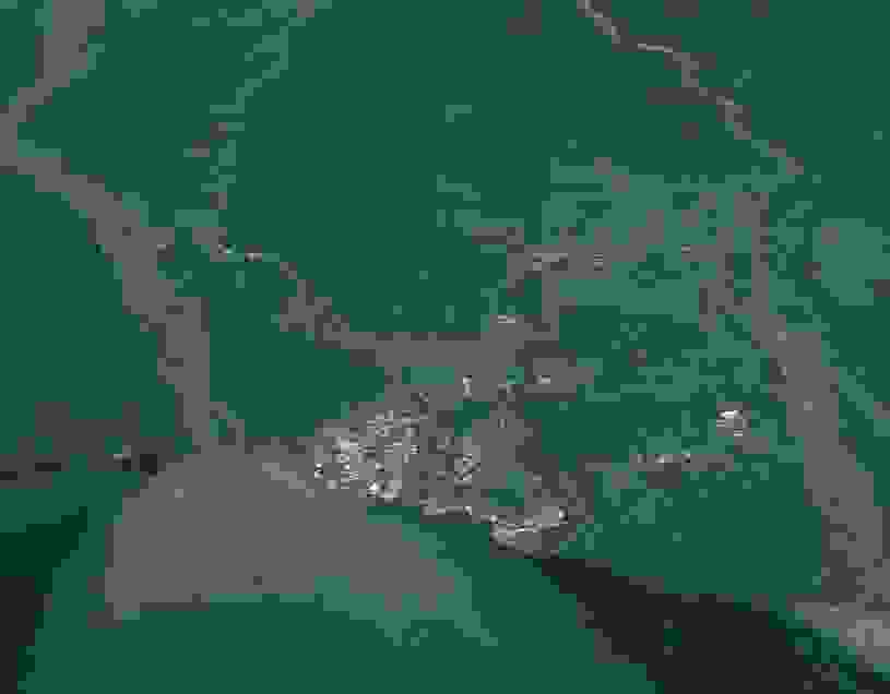 IMAGE OF LAE