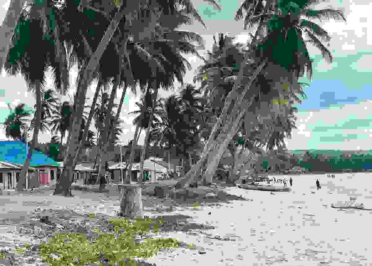 IMAGE OF LINDI