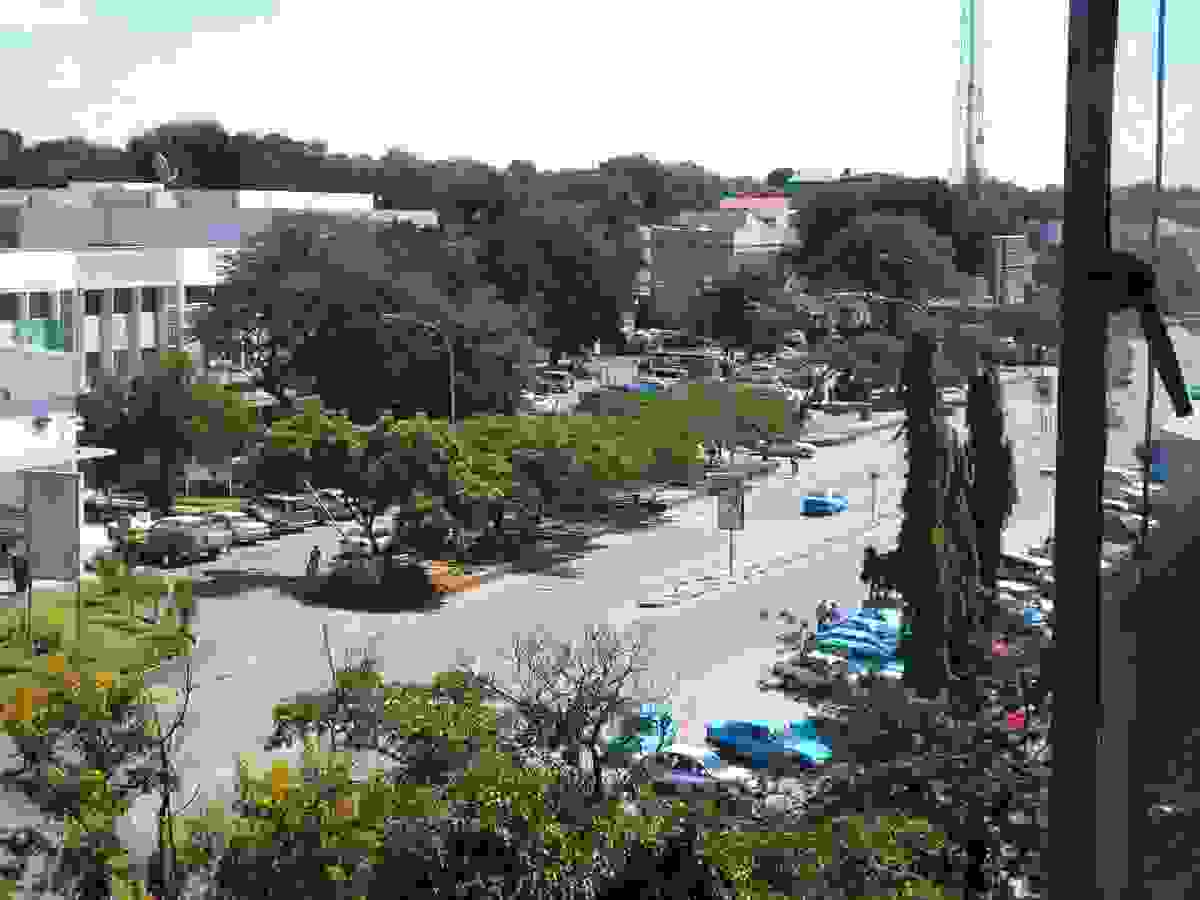 IMAGE OF LIVINGSTONE