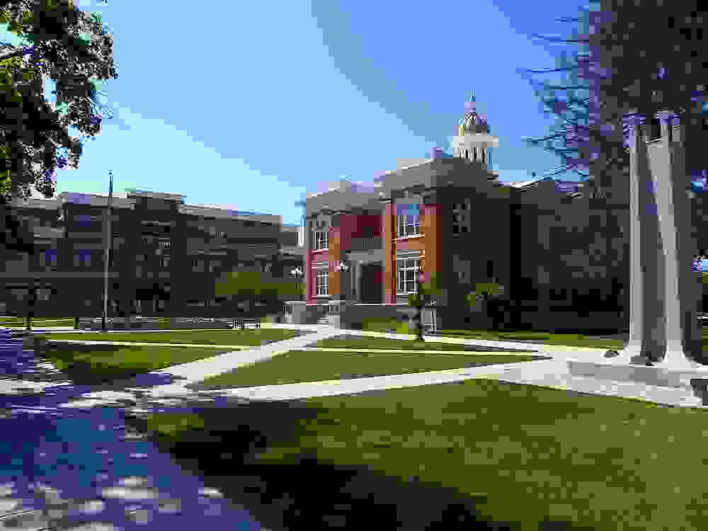 IMAGE OF LOGAN
