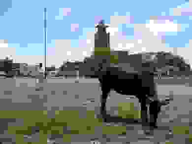 IMAGE OF MALAKAL