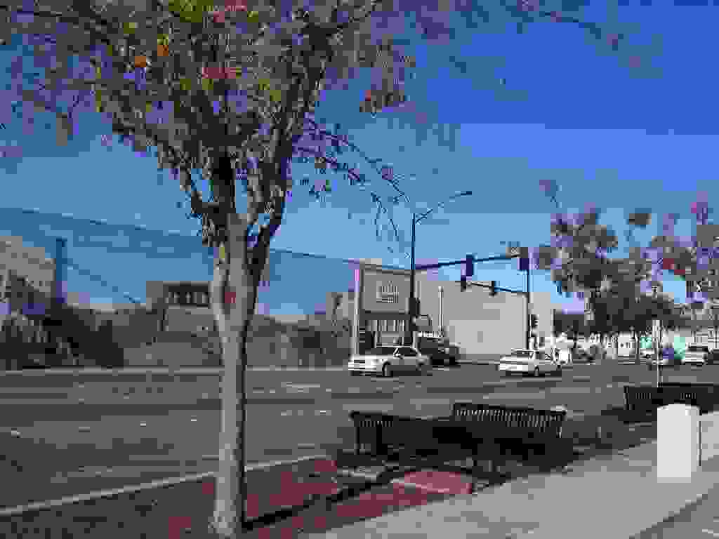 IMAGE OF MANTECA