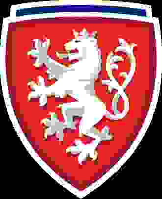IMAGE OF MARTIN