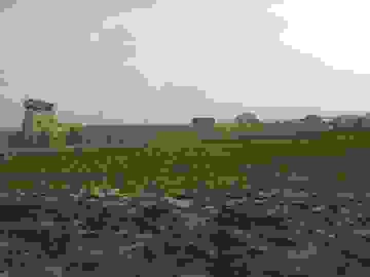 IMAGE OF MAYMANA
