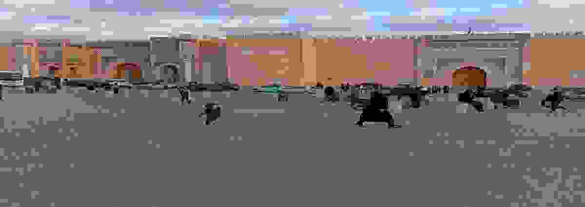 IMAGE OF MEKNES
