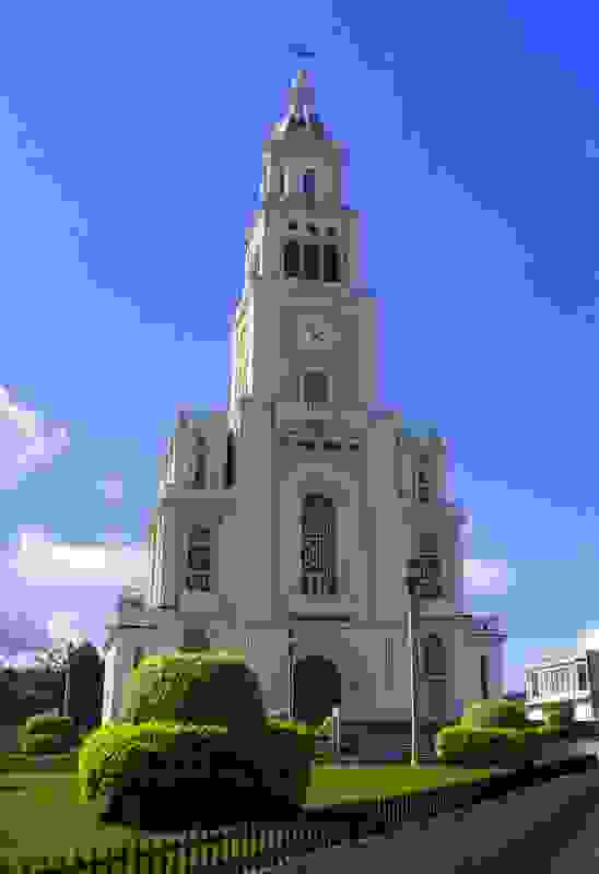IMAGE OF MOCA