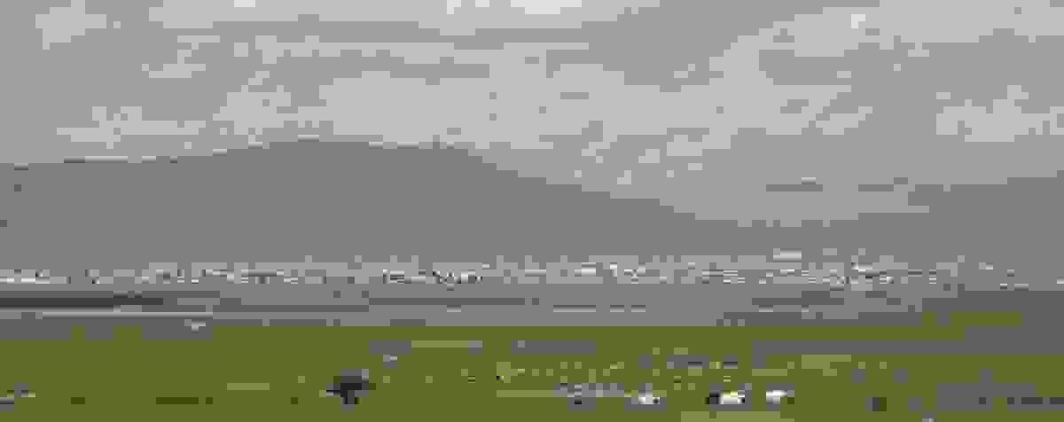 IMAGE OF MÖRÖN
