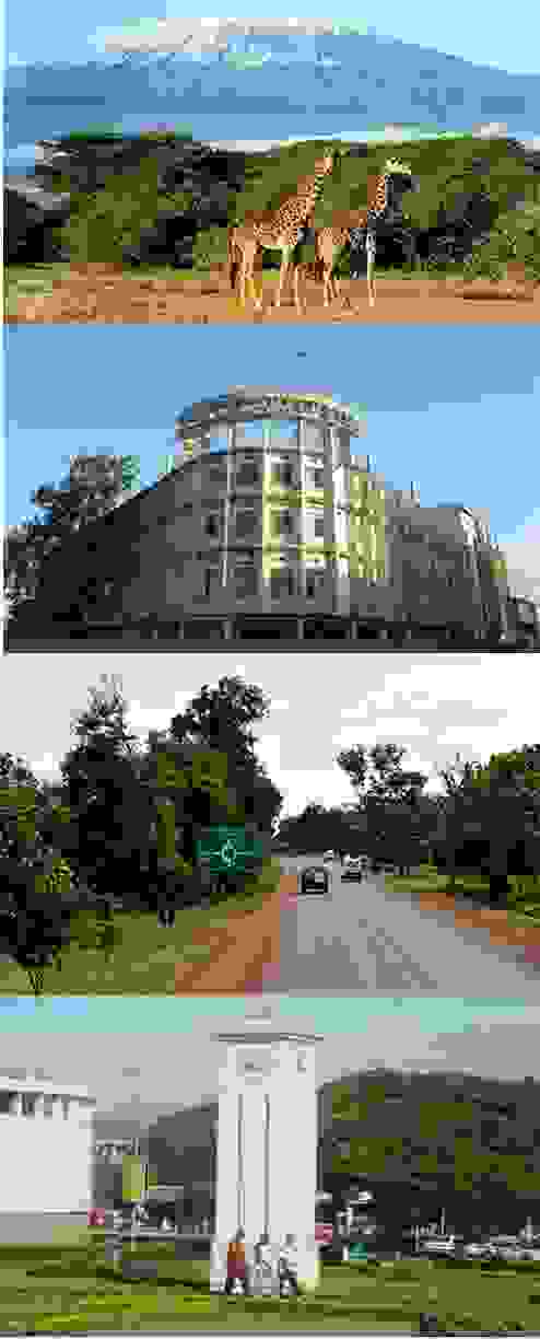 IMAGE OF MOSHI