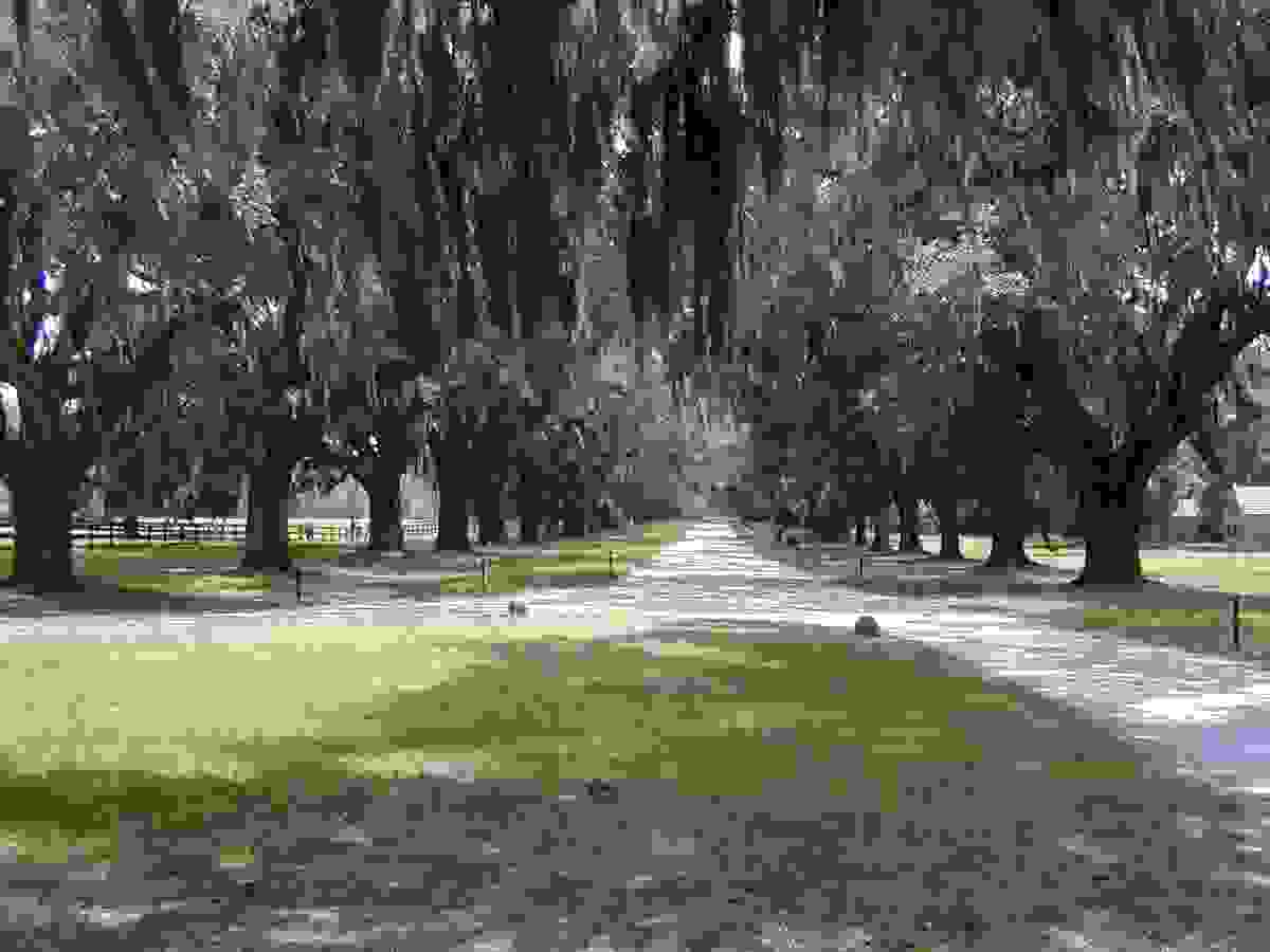 IMAGE OF MOUNT PLEASANT