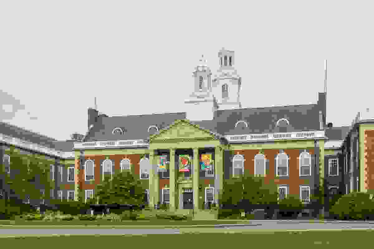 IMAGE OF NEWTON
