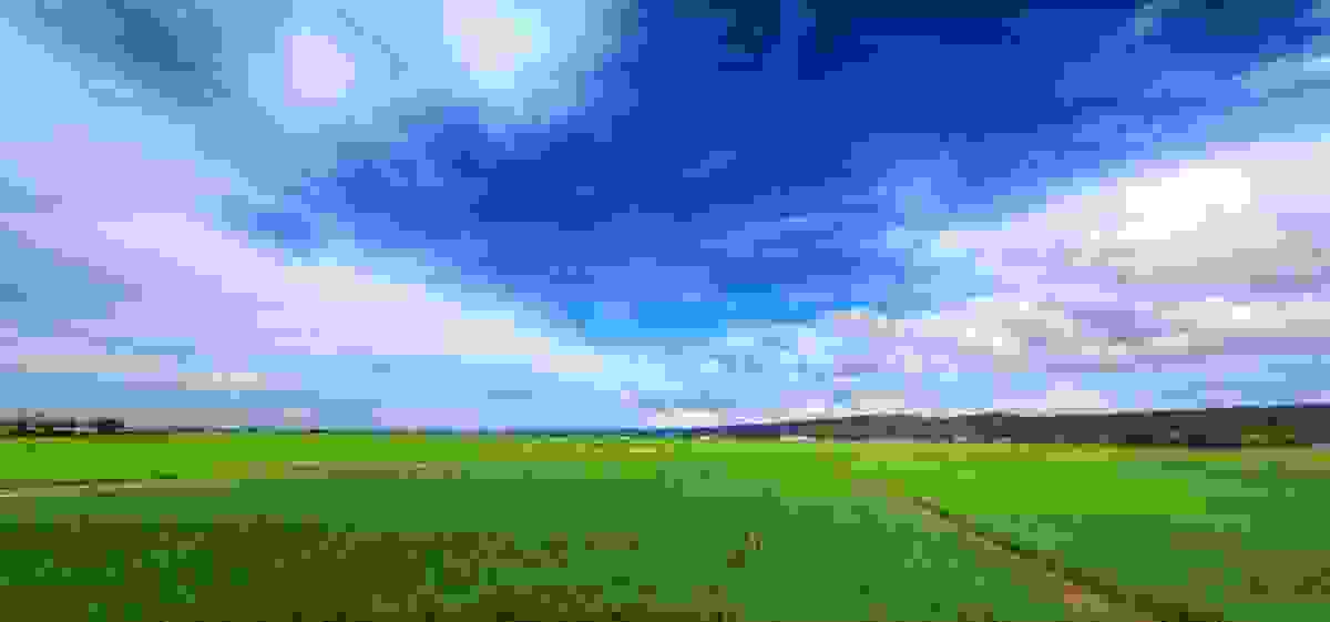 IMAGE OF NIIGATA