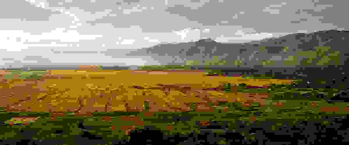 IMAGE OF NJOMBE